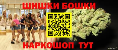 стаф Пенза