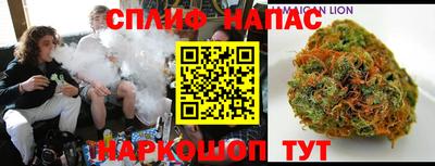 стаф Пенза