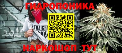 гашик Партизанск