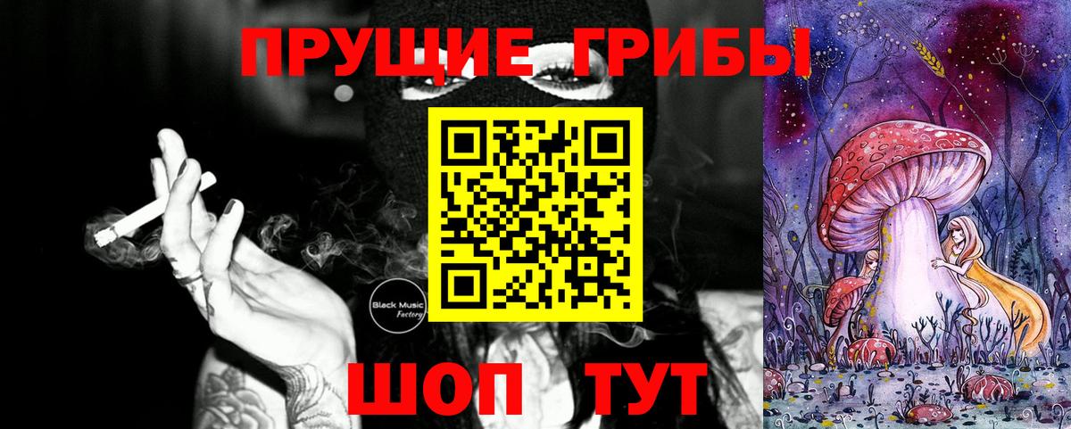 Галлюциногенные грибы Psilocybine cubensis  Вход с VPN  Сергиев Посад 