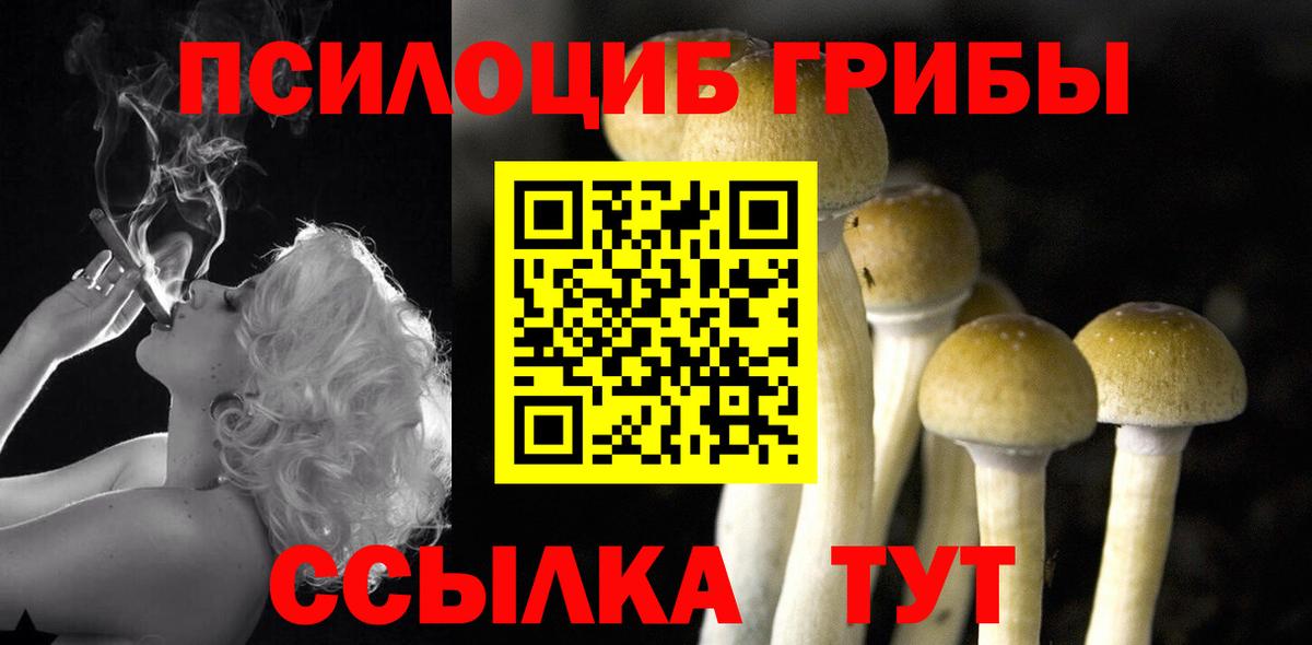 Галлюциногенные грибы GOLDEN TEACHER Сергиев Посад